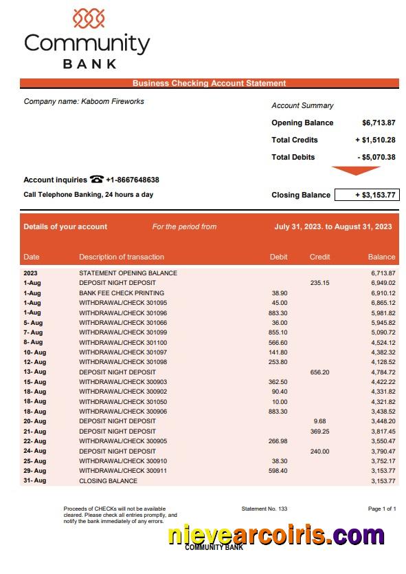 Community Bank Business statement